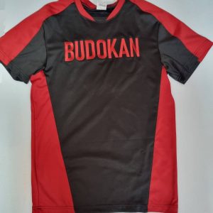 Футболка 3D напис Budokan